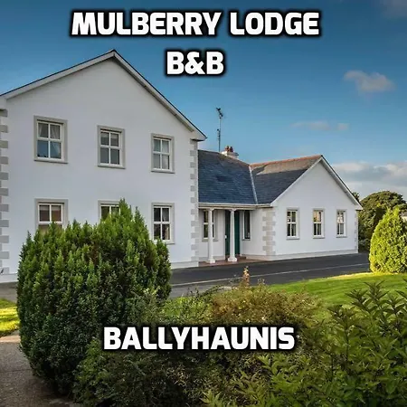 Mulberry Gasthof Ballyhaunis